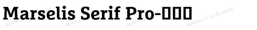Marselis Serif Pro字体转换